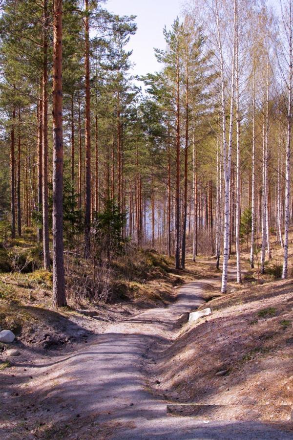 Kalina Apartments Kiilanmaki Bagian luar foto